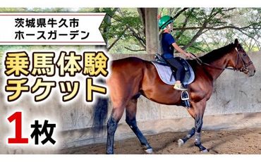 乗馬体験1回コース 乗馬 レッスン 見学 初心者 日帰り 体験 馬 チケット[CJ001us]