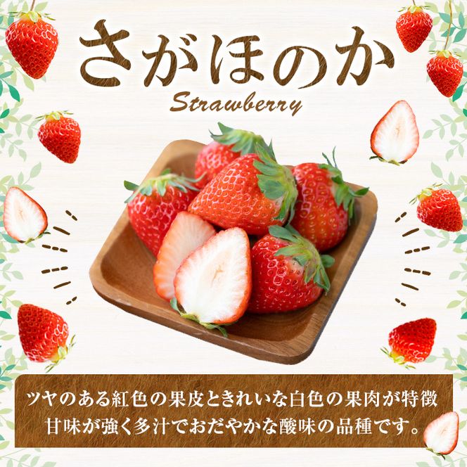 a881 ＜先行予約受付中！2026年2月上旬～3月下旬に発送予定＞ いちご・さがほのか(合計24粒～30粒)【佳農園】国産 鹿児島県産 苺 イチゴ フルーツ 果物 くだもの ギフト 贈答用