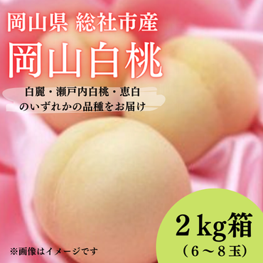 岡山白桃（2kg箱）総社市産【2024年産先行予約】24-020-004