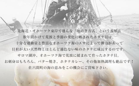 【12月発送限定】オホーツク産 『活』 ほたて 6kg（32～46枚） SRMN029 