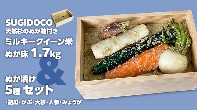 y錧}sz~L[NB[ ʂ 1.7kg  ʂЂ5 Zbg ( SUGIDOCO et )   R  ~L[NC[ ʂЂ ʂ ʂǂ [BJ007ci]