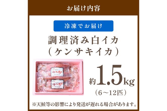 【先行予約】BBQに最適！ 白イカ（ケンサキイカ） 調理済み 正味1.5kg入り（6～12匹） ※小分け真空包装（2025年5月中旬〜発送）　UO01226