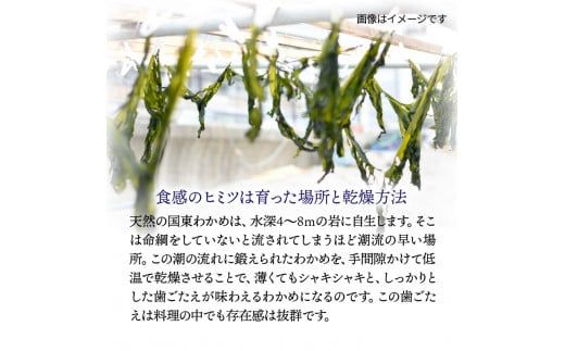 風味が違います！国東天然わかめ（湯通し塩蔵720g）_0078N