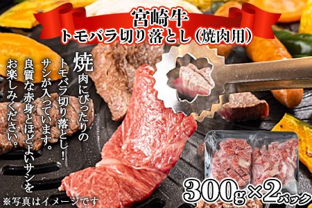 ＜宮崎牛サイコロステーキ ＆ 宮崎牛トモバラ切落とし（焼肉）合計1.0kg＞翌月末迄に順次出荷【a0382_ty】