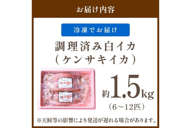 BBQに最適！ 白イカ（ケンサキイカ） 調理済み 正味1.5kg入り（6～12匹） ※小分け真空包装　UO01226