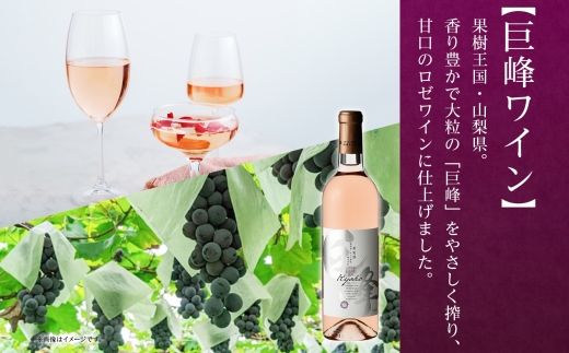 《無地熨斗 対応可》巨峰ワイン 720ml×12本 177-4-072