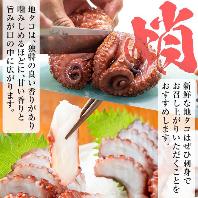 鹿児島県産地たこのゆでたこ(計400g) 国産 九州産 新鮮 地ダコ 魚介 魚貝 海産物 海鮮 蛸 味付 刺身 磯辺焼き たこ焼き 唐揚げ 料理 おかず お弁当【さるがく水産】akn028-01