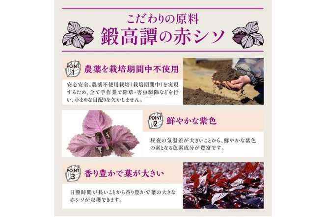 鍛高譚（たんたかたん）の梅酒[720ml]【12本セット】