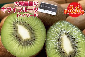 【先行予約】【ヘイワード約3.6kg】贈答用大箱大晴農園のキウイフルーツ（BY004-2）