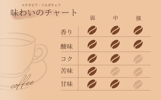 BR-21 【自家焙煎】カフェ・フランドル厳選コーヒー3種セット（100g×3・豆）