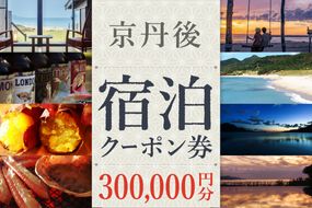 【京丹後市観光公社】京丹後宿泊クーポン 25枚（300,000円分）　GK00018　旅行券 市内の宿泊施設で使える 宿泊券 チケット 旅行 クーポン 旅 ギフト 夕日ヶ浦温泉 天橋立 城崎温泉 伊根 も近い 海の 京都旅行 全国旅行支援 併用可能 カニ旅行 カニ旅 カニ 温泉 海水浴