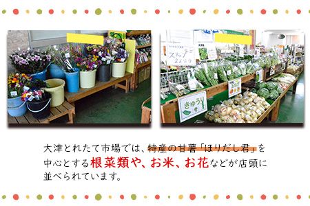 熊本県大津町産 季節の野菜セット(6～8種類)《60日以内に出荷予定(土日祝除く)》野菜 冷蔵 JA菊池 大津中央支所 とれたて市場---so_cozuyasai_60d_20_13500_8i---