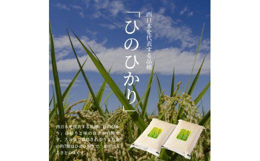 【B01012】 大分ヒノヒカリ　3kg×2