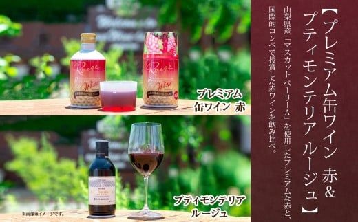 赤ワイン 瓶 缶 飲み比べ 瓶1本+缶2種8本 モンデ酒造 177-4-047