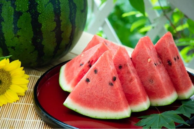 【先行予約】朝どれ小玉スイカ／みんな大好き！甘～ぃ！シャリ美味！！京丹後産 小玉スイカ！！2玉（ひとりじめ、姫甘泉、ひめまくら、砂丘たまごから1種類）（2026年7月上旬～発送）スイカ2玉　YK00533