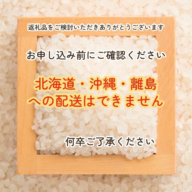 食品/飲料/酒キヌヒカリ 玄米 20kg 和歌山県産