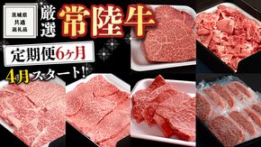 《 定期便 4月スタート 》 厳選 『 常陸牛 』 6ヶ月セット ( 茨城県共通返礼品 ) A5 A4 肉 焼肉 国産 霜降 赤身 ヒレ 切り落とし もも ハンバーグ ステーキ [BM036us]