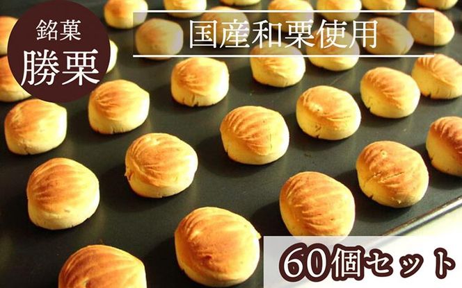 京都の縁起菓子「勝栗」60個セット ｜ スイーツ 和菓子 焼菓子 必勝祈願 白あん 和栗 ギフト 贈答 お中元 お歳暮 父の日 母の日 敬老の日 プレゼント