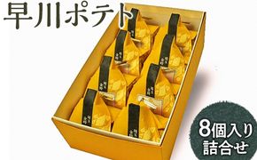 早川ポテト8個入り詰合せ ※離島への配送不可 FAA-161