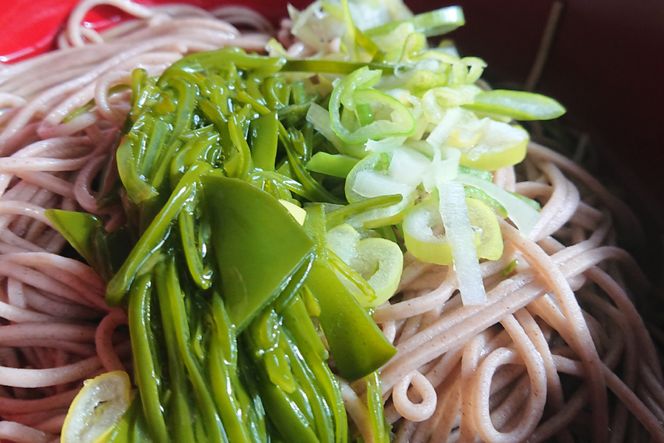 ＼満点★青空レストランで紹介／ 春つげ華めかぶ セット （千切りメカブ・削ぎメカブ) [第38漁徳丸 宮城県 気仙沼市 20565075] 海藻 メカブ めかぶ 魚介類 芽株 三陸めかぶ 食べ比べ 冷蔵