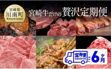 [定期便] 宮崎牛だけの 贅沢定期便 6ヶ月コース 肉 牛 牛肉 宮崎牛 [G7427]