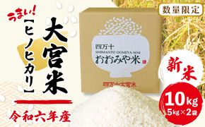 R6-789．【令和6年産新米・早期受付・数量限定】四万十の米どころ！山間地域で育てた大宮米(ヒノヒカリ)10kg【2024年11月中旬より順次配送】