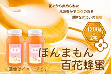 ほんまもん百花蜂蜜 1200g×2本 計2400g 村上養蜂[90日以内に出荷予定(土日祝除く)]和歌山県 紀の川市---wsk_murayhh2_90d_21_30000_2400g---