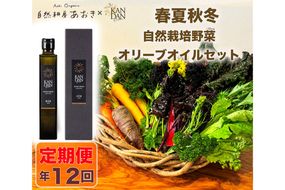 【年12回定期便】自然栽培野菜とKANDANオリーブオイル180gセット　2～3人用　DZ00021