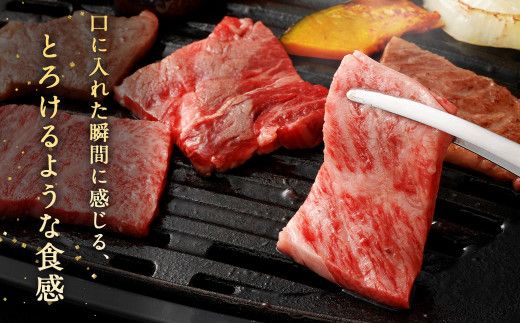 ＜霜降り 焼肉 300g×2＞翌月末迄に順次出荷【c1178_ya】