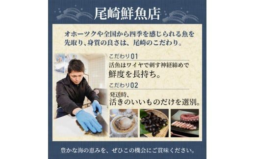 北海道北見市常呂産 ボイル水タコ足 約1kg前後 ( 海鮮 たこ 水タコ )【091-0010】