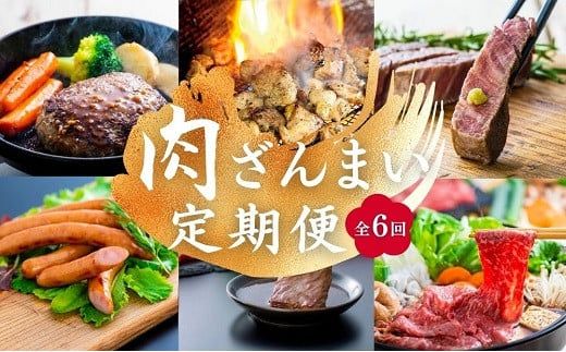 肉ざんまい定期便 全6回 6か月 牛肉 焼肉 ステーキ スライス 鶏肉 ウインナー ハンバーグ
