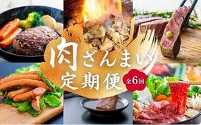 MA-02 肉ざんまい定期便 全6回 6か月 牛肉 焼肉 ステーキ スライス 鶏肉 ウインナー ハンバーグ