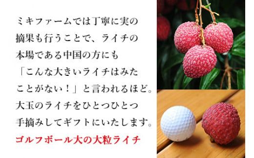 ＜宮崎県産 生ライチ 大粒12個入り＞ 2025年7月上旬～7月下旬迄に順次出荷【c643_mk_x5】