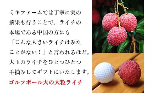 ＜宮崎県産 生ライチ 大粒12個入り＞ 2024年6月下旬から7月中旬迄に順次出荷【c643_mk_x4】