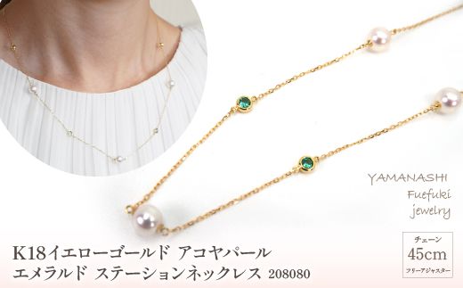 yRJszK18CG[S[h@ARp[@Gh@Xe[VlbNX@Ǘԍ208080@×1{ 218-033