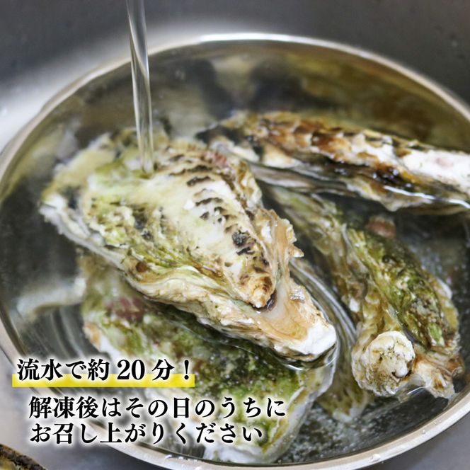生食用 殻付冷凍牡蠣 5個 ほや 180g×2袋 セット  [taiko001]
