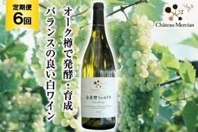 白ワイン 定期便 安曇野シャルドネ 750ml 6回 計 6本 [シャトー・メルシャン 勝沼ワイナリー 長野県 池田町 48110305] 白 ワイン ギフト