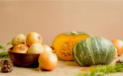 《令和8年分》数量限定！季節のお野菜詰め合わせ 秋(配送時期：9月～10月)【01018】