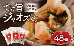 てげ旨ジャオズ【白】6食分（48個入）_M276-002