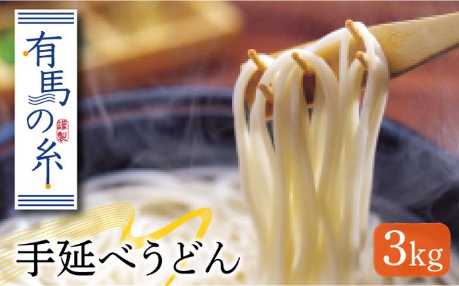 有馬の糸 手延べ うどん 3kg / 南島原市 / 竹市製麺 [SBT002]