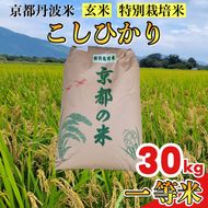 【寄附額改定】【令和7年産】京都丹波米 こしひかり 玄米 30kg 《米 一等米 コシヒカリ 特別栽培米 減農薬》※北海道・沖縄・離島への配送不可【～3月31日まで】