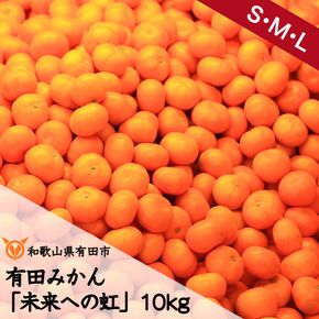  2.有田みかん「未来への虹」（10kg） (A2-1)