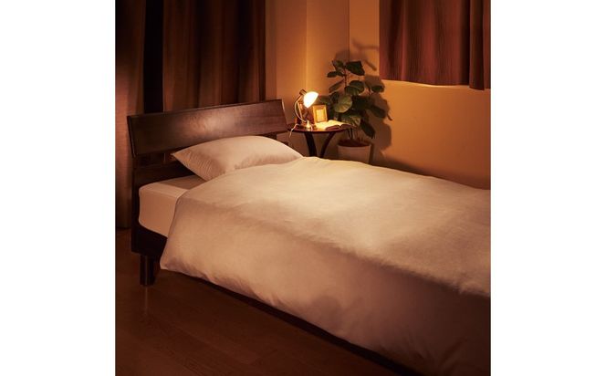 GS028とろける羽毛ふとん［クィーン］肌掛けふとん 専用カバー付き/クリーム