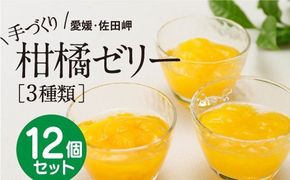 【皮までまるごと国産無添加】愛媛まるごとゼリーセット（12個）