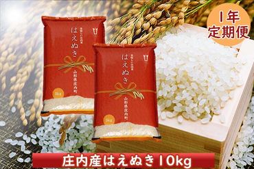 ＜2月開始＞庄内米１年定期便！はえぬき　１０kg（入金期限：2024.1.25）