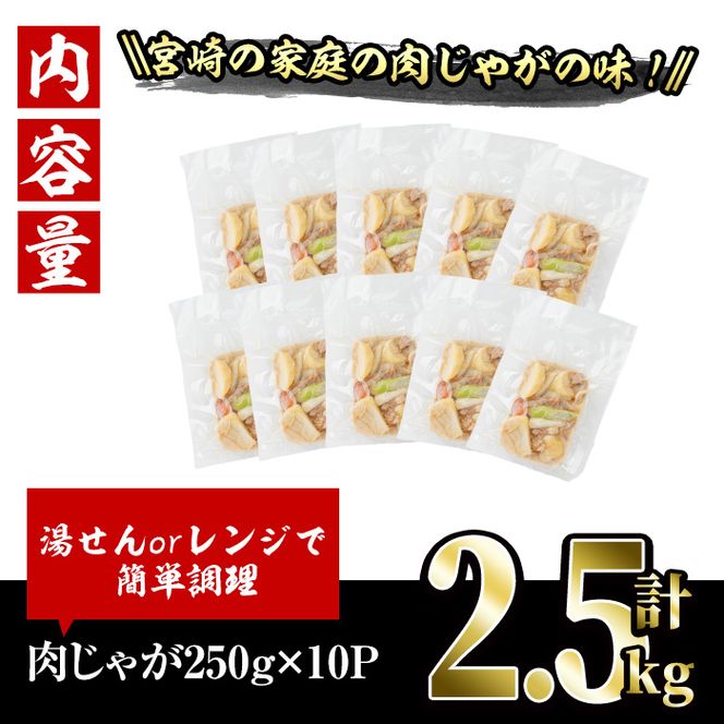 お母ちゃんの肉じゃが (計約2.5kg・約250g×10P) お肉 豚肉 小分け 使いやすい 便利 簡単 惣菜 調理 時短 冷凍【V-62】【味鶏フーズ】