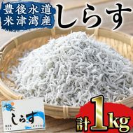 豊後水道 米水津産 しらす (計1kg・500g×2P) 魚 小魚 魚介類 シラス おつまみ カルシウム 大分県 佐伯市 【FA01】【(有)中宮商店】