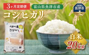 【令和7年度米】【3ヶ月定期便】富山県 うおづ産米「コシヒカリ」20kg（5kg×4袋）（精米）｜3ヶ月定期便 3回 3ヶ月 こしひかり こめ コメ お米 おこめ 白米 精米 雪解け水 香り うまみ あまみ 冷めても 美味しい おにぎり お弁当 高品質 魚津市 ※北海道・沖縄・離島への配送不可