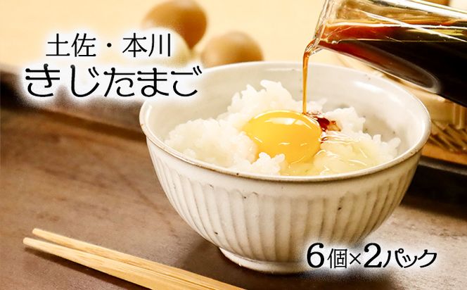 【5月末頃まで】本川手箱　きじたまご（12個）