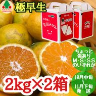 ちょっと 傷あり 極早生 有田 みかん M～SS サイズ 2kg × 2箱 手さげ箱 南泰園 和歌山 有田みかん BS611